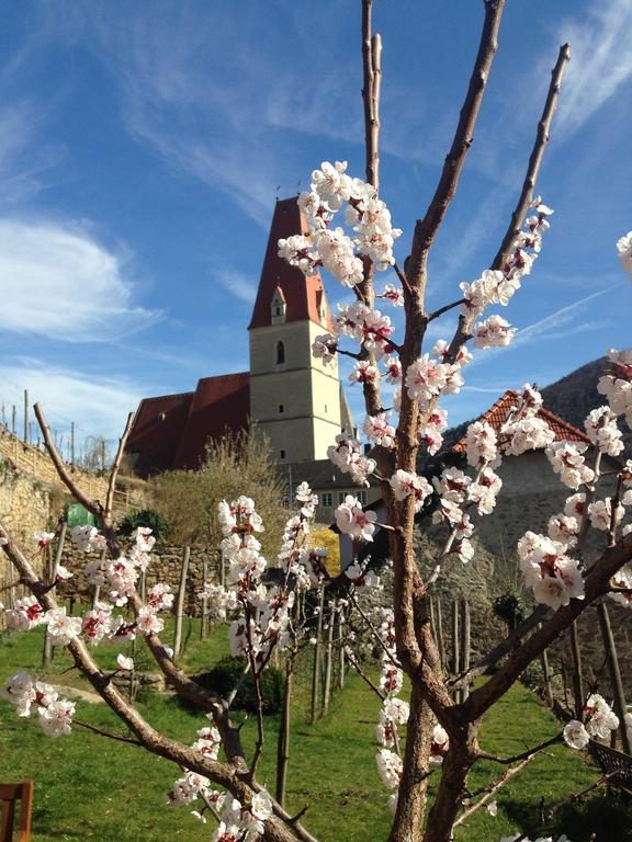 Gaestehaus Haiminger Ehemalig Schmelz Weissenkirchen in der Wachau Esterno foto