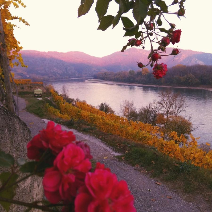 Gaestehaus Haiminger Ehemalig Schmelz Weissenkirchen in der Wachau Esterno foto